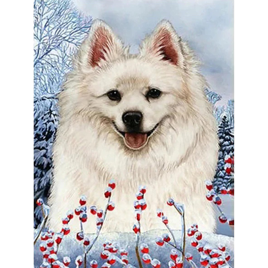 Samoyed