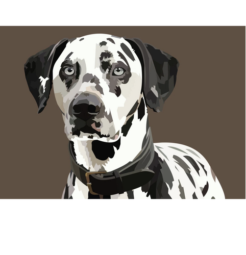 Dalmatiër | Exclusieve Diamond Painting