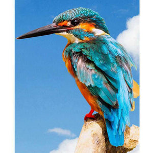 Kingfisher